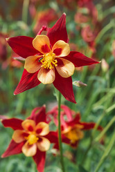 Similar image 21855978