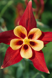 Similar image 21855979