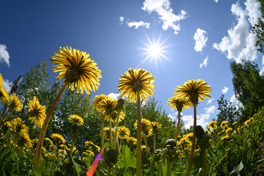 Similar image 21855925