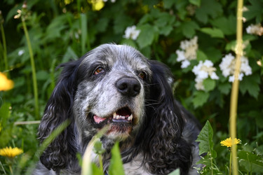 Similar image 21855929