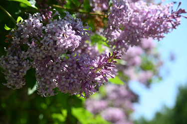 Similar image 21855930