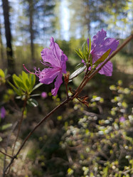 Similar image 21855931