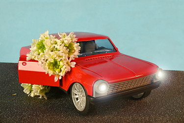 Similar image 21855933