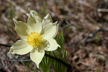 Similar image 21855935