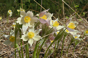 Similar image 21855936