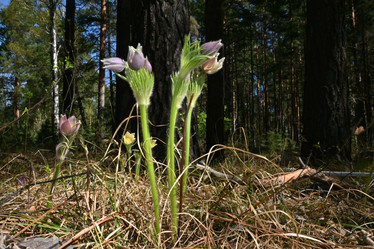 Similar image 21855937