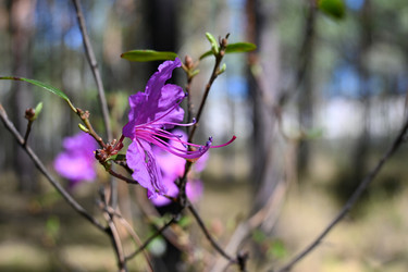 Similar image 21855938