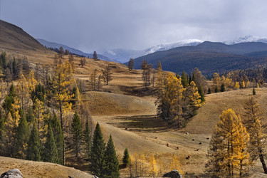 Similar image 21855939