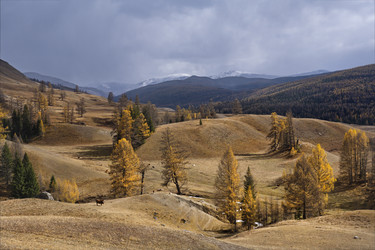 Similar image 21855940