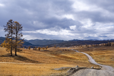 Similar image 21855941