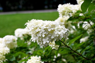 Similar image 21856070