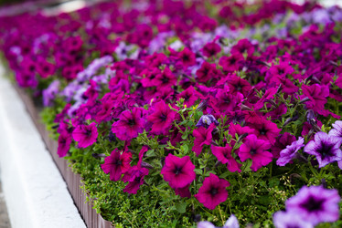 Similar image 21856077