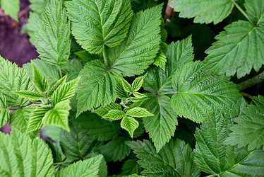 Similar image 21856079