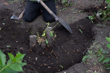 Similar image 21856081