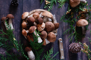 Similar image 21856085