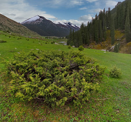 Similar image 21856569