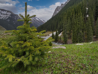 Similar image 21856570