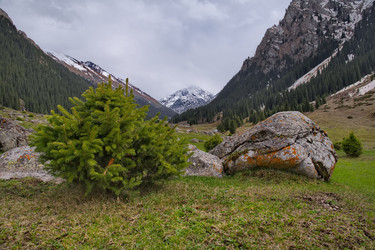 Similar image 21856577