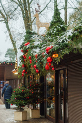 Similar image 21855958