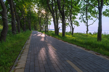 Similar image 21856587