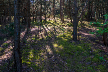 Similar image 21856097