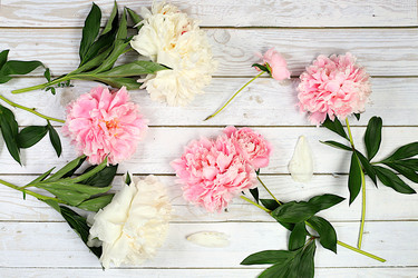 Similar image 21855962