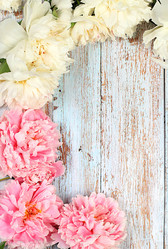 Similar image 21855963