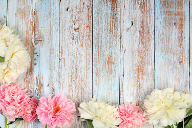 Similar image 21855964