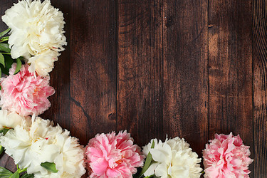 Similar image 21855967