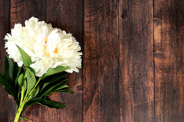 Similar image 21855968