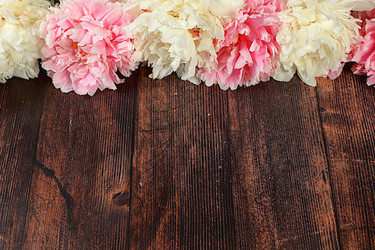 Similar image 21855969