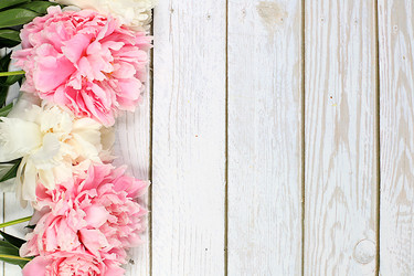 Similar image 21855970