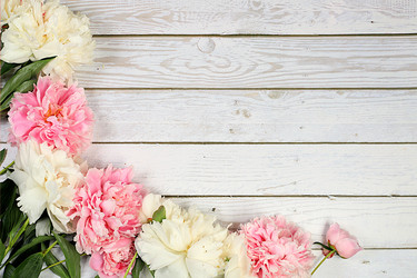 Similar image 21855971