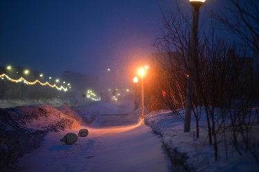 Similar image 21856106