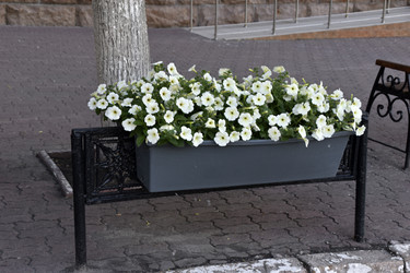 Similar image 21856312