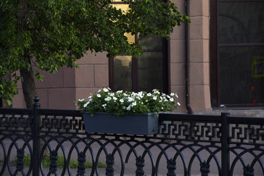 Similar image 21856313