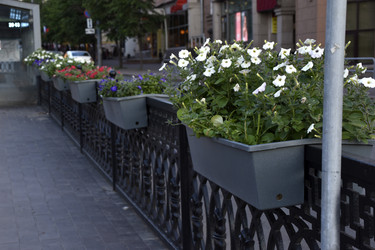 Similar image 21856315