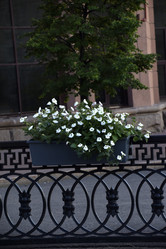 Similar image 21856316