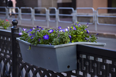 Similar image 21856319