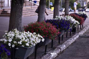 Similar image 21856320