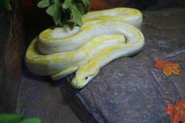 Similar image 21856110