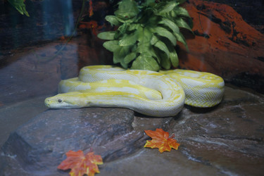 Similar image 21856111