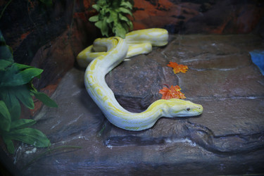 Similar image 21856112