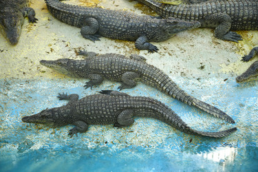 Similar image 21856113