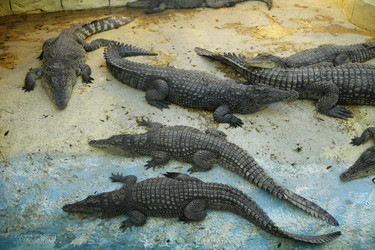 Similar image 21856114