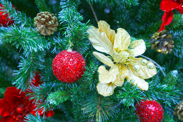 Similar image 21856118