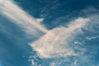 Similar image 21856132