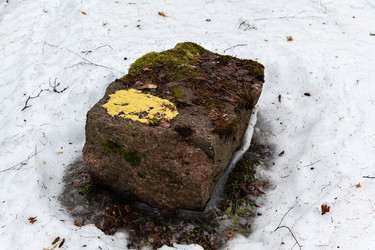 Similar image 21856134