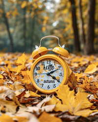 Similar image 21856154