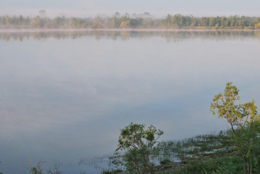 Similar image 21856343